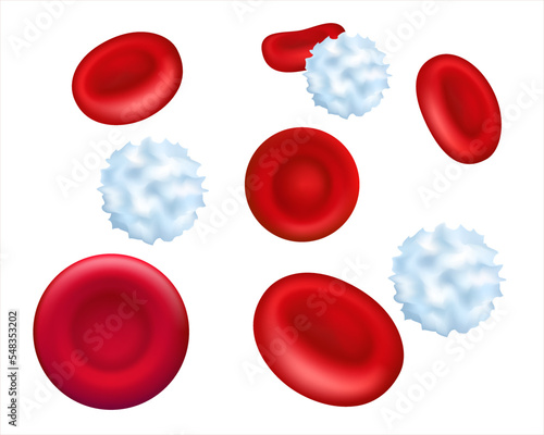 Healthy human red and white blood cells under microscope. Magnified  of red blood cells in blood plasma. 3d illustration. Vector illustration EPS 10