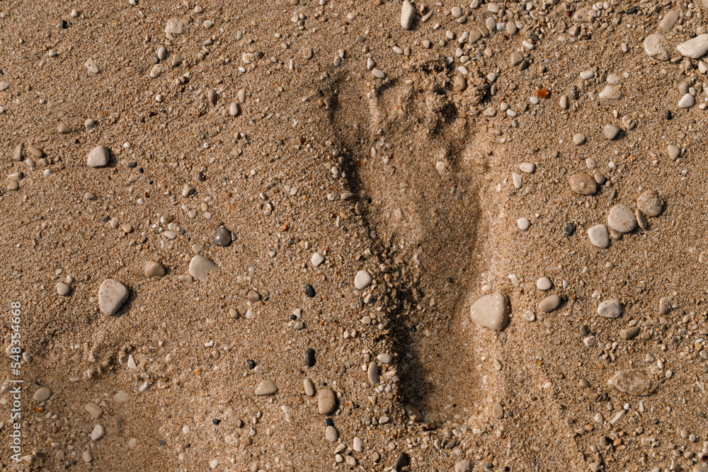 Human footprint in the damp sand on the beach Human footprint in the damp sand on the beach