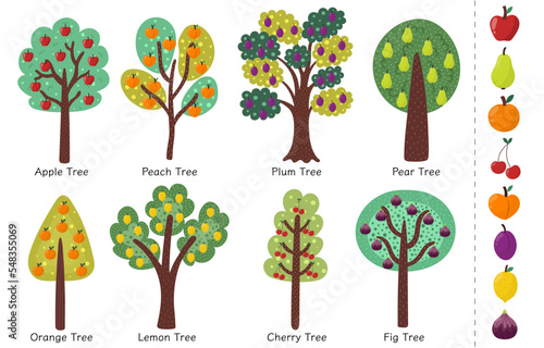 Doodle fruit trees collection. Different trees set with apple, orange, pear, plum, cherry, lemon, fig and peach. Vector illustration