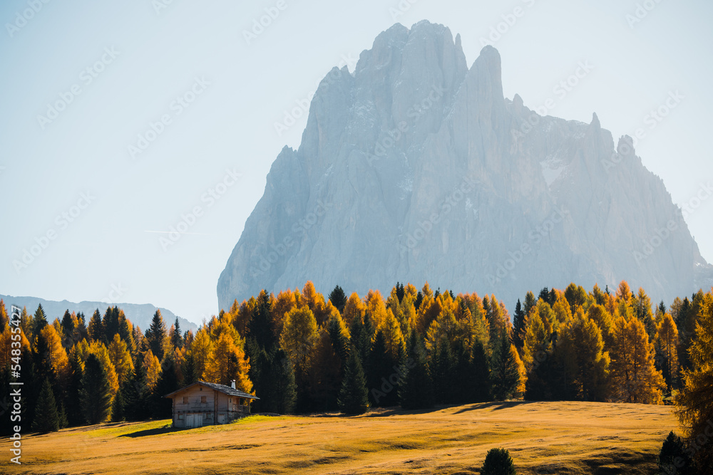 Alpe di Siusi or Seiser Alm, Dolomites Alps Sassolungo and Sassopiatto mountains, Trentino Alto Adige Sud Tyrol, Italy, Europe
 - obrazy, fototapety, plakaty 