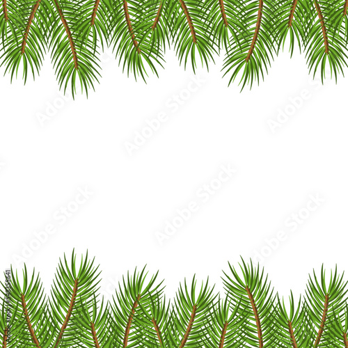 Christmas tree branches on white background