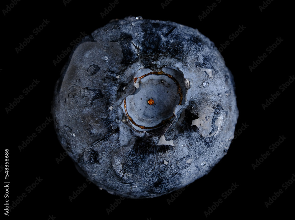 Fresh blueberry Berry isolated on black background Macro. Fresh blueberry Berry isolated on black background Macro.