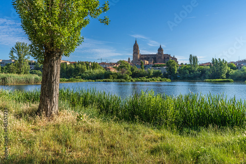 View of the cathedral of Salamanca on the banks of the Tormes river, in Spain. photo