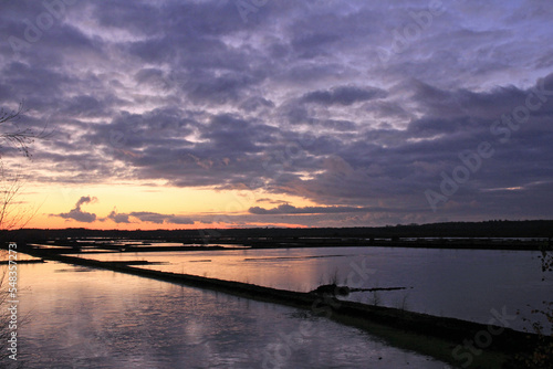 Himmelmoorlandschaft am frühen Abend bei Quickborn in Schleswig-Holstein  photo