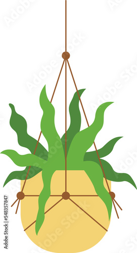 Macrame Hangers For Plants Growing