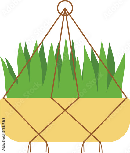 Macrame Hangers For Plants Growing