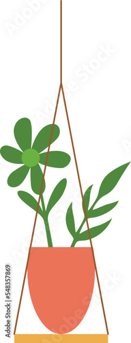 Macrame Hangers For Plants Growing