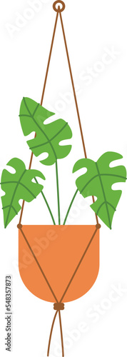 Macrame Hangers For Plants Growing