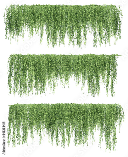 Photo 3D illustration of a set of very dense creeper plants, hanging from the top