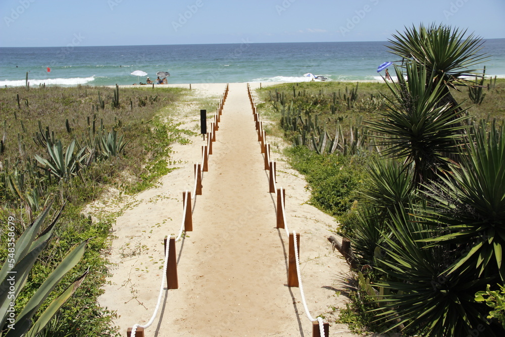 Obraz premium Caminho para praia - path to beach