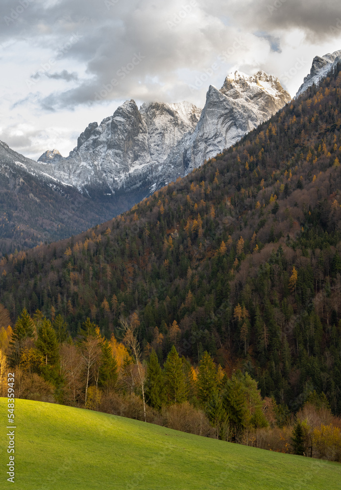 Austrian mountain landscape with vibrant grassy hills, forest with autumn colors and snowy peaks, in Tyrol