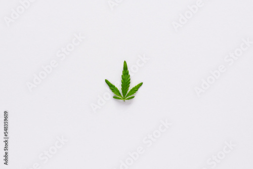 Marijuana leaf on white background with free space around
