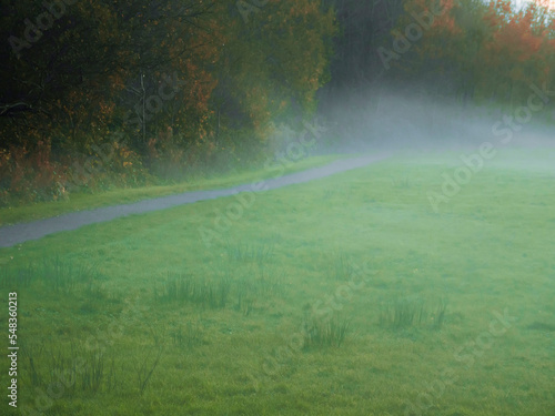 Scene in a park with fog over the grass and narrow foot path. Dark and moody atmosphere. Nobody. Nature landscape.