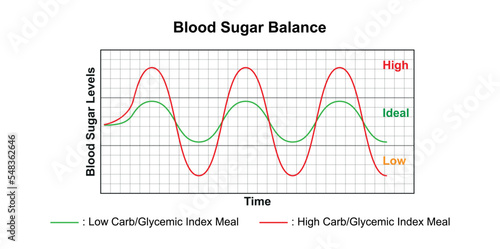 Blood Sugar Balance. Vector Illustration. photo
