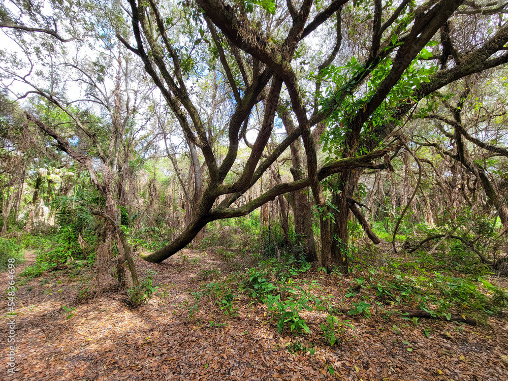 Trails filled with serenity found in nature Trails filled with serenity found in nature