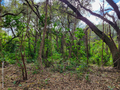 Trails filled with serenity found in nature