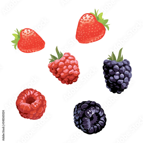 Vector set of hand drawn watercolor berries. Cherry, raspberry, strawberry, blueberry. Isolated objects on white background for menu and recipe design.