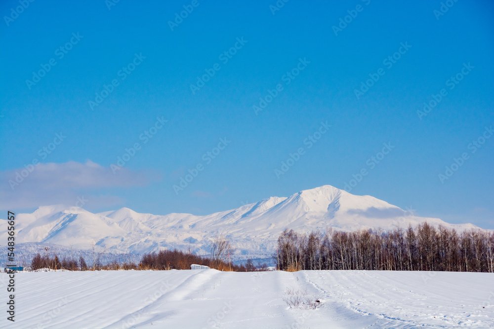 Fototapeta premium 晴れた日の冬の丘陵地帯と雪山 大雪山 