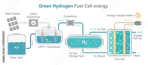 Green hydrogen energy fuel cell diagram layout system h2 to electric power vector photo