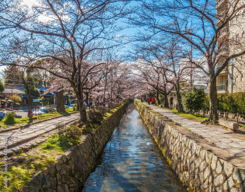 Canal along the Philosopher   s Walk  Kyoto  Japan