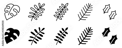 Conjunto de hojas de plantas decorativas. Ilustración vectorial