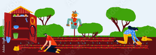 Gardening plant sowing seeds, planting plants, vector illustration, man woman character work at nature, grow green agriculture in garden, couple sow seed at patch.