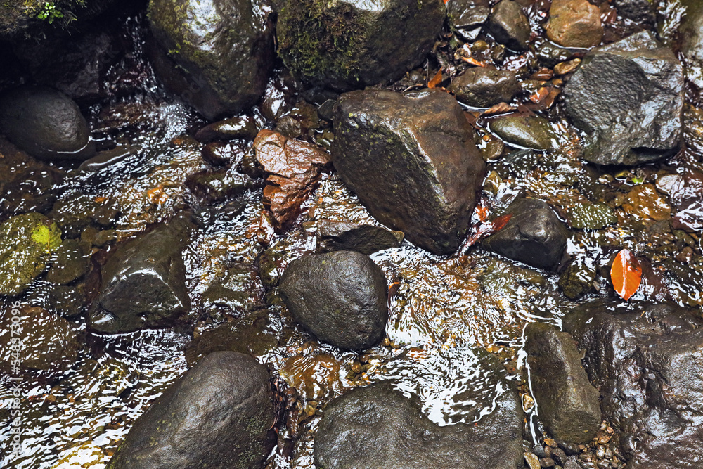 Beautiful stream and stones in park, above view Beautiful stream and stones in park, above view