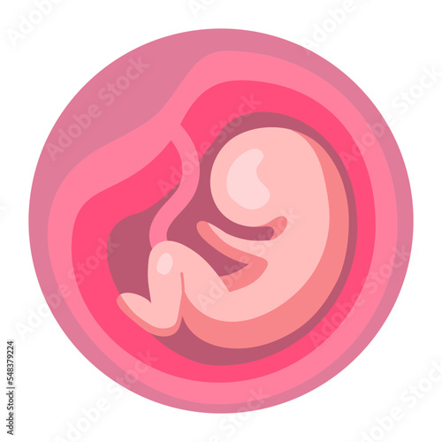 fetus icon