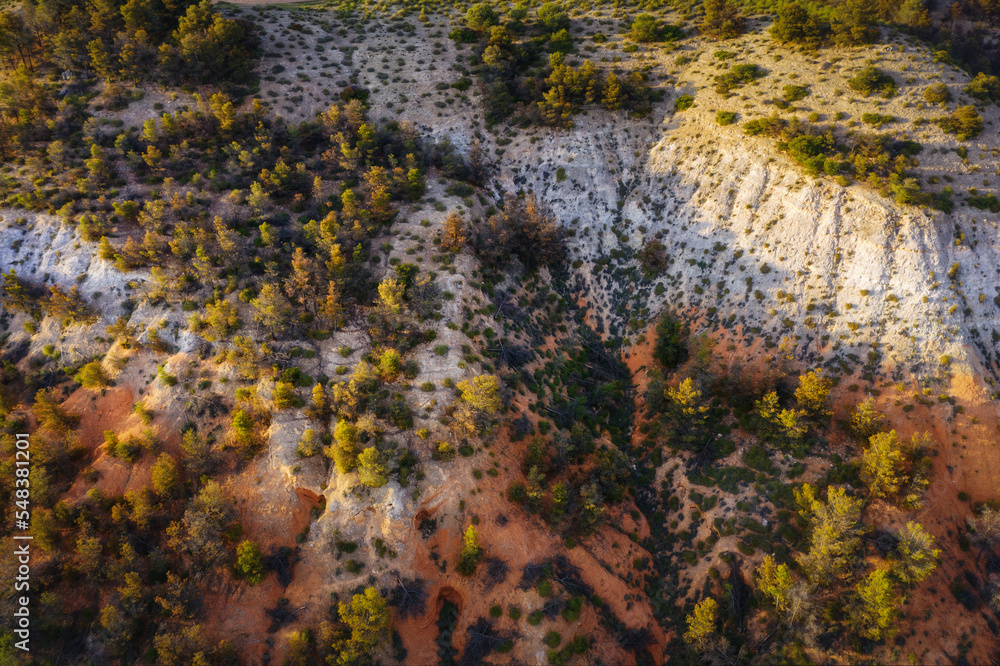 Aerial trees from dron in Toledo. La mancha