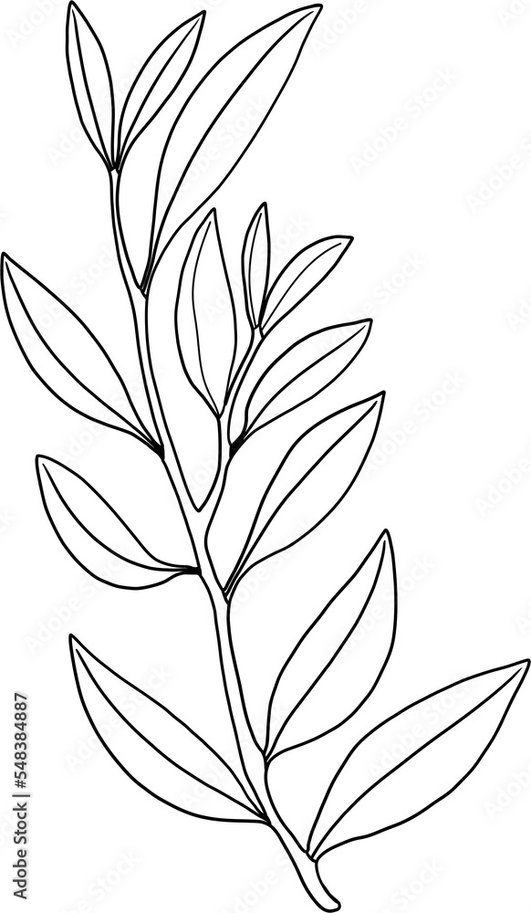 simplicity floral freehand drawing simplicity floral freehand drawing