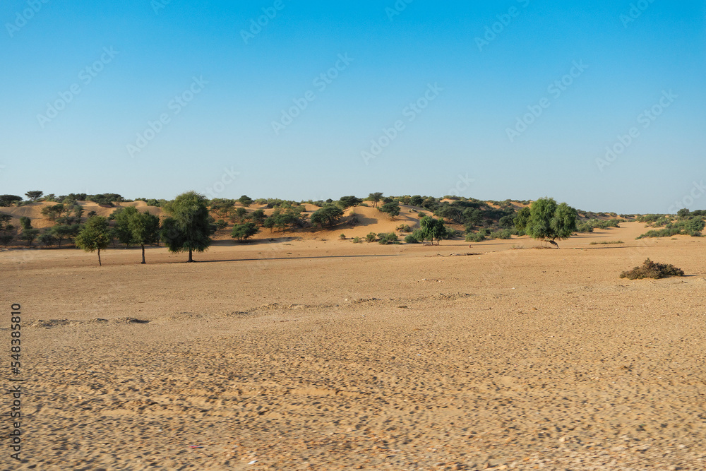 Ranautar, remote desert village inside the desert. Distant horizon, Hot summer with cloudless clear blue sky background, Thar desert, Rajasthan, India.