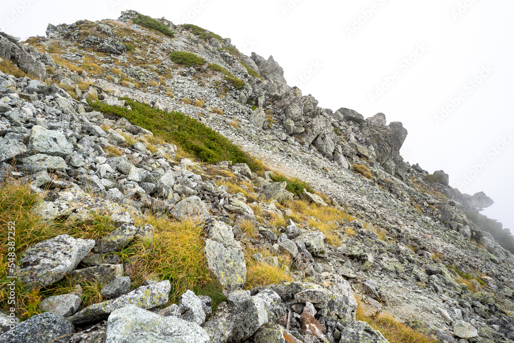 岩がたくさんある険しい山道