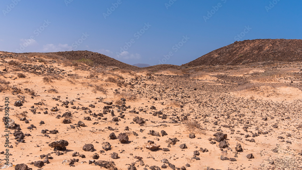 Light red to brown desert surface with many black volcanic rocks and hills in distance Light red to brown desert surface with many black volcanic rocks and hills in distance