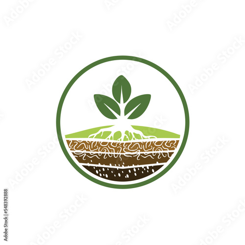 Growing Seed logo design vector , leaf , water and root simple concept with circle style inspiration download