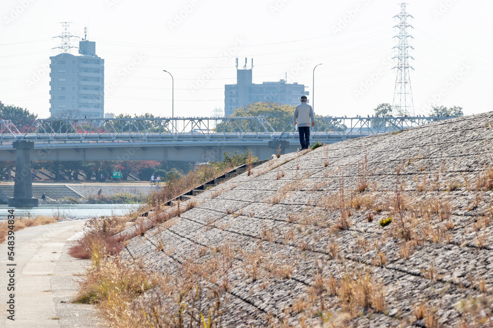 Φωτογραφία 日が当たる冬の川岸の堤防