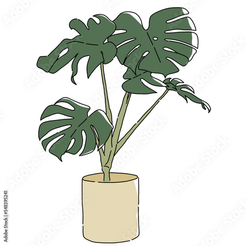 houseplant hand drawn illustration