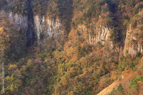 鳥取県琴浦町の秋の船上山の紅葉