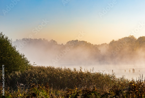 Morning mist over the lake.