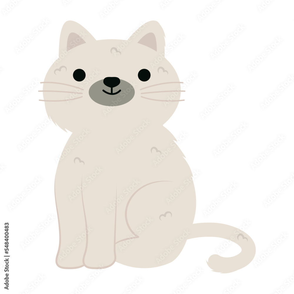 Fototapeta premium cute little cat