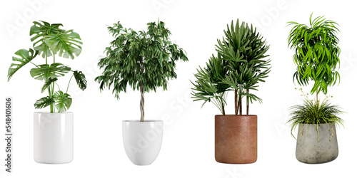 Plant in 3d rendering isolated