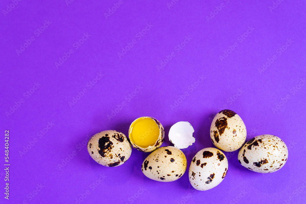 Quail eggs on a purple background.  An egg on a purple background in the center. Close-up of Quail Eggs. Modern Easter greeting card. Selective focus.