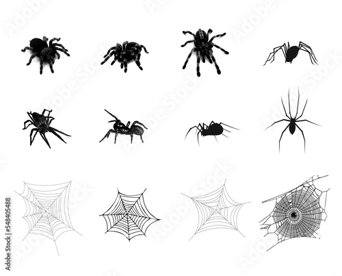 Collection of spiders and webs for web icons or posters halloween © flphotography