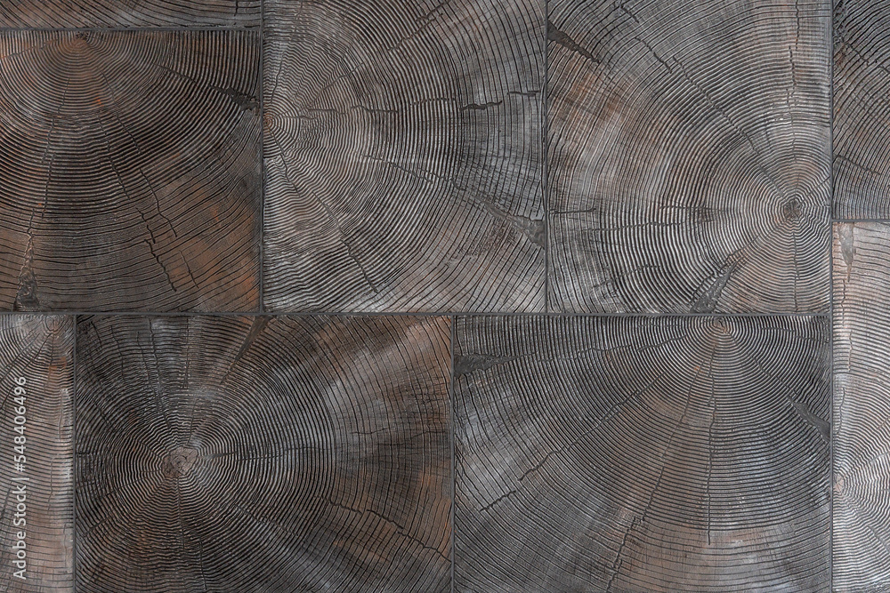 Fototapeta premium Elements of decorative plaster with wood texture. Wood imitation wall covering