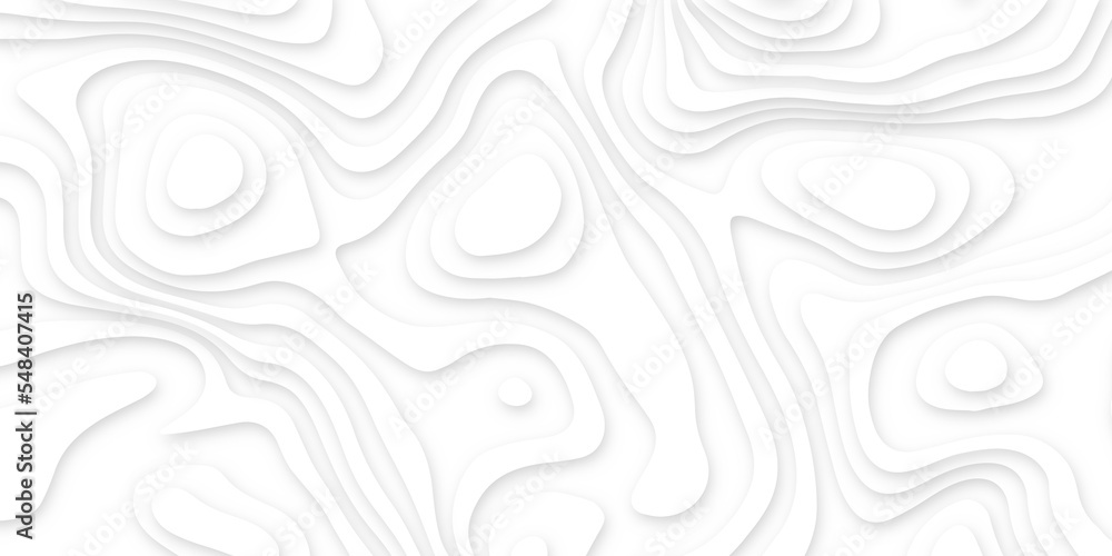 Abstract wavy line 3d paper cut white background. Topographic canyon geometric map relief texture with curved layers and shadow. Abstract realistic papercut decoration textured with wavy layers Abstract wavy line 3d paper cut white background. Topographic canyon geometric map relief texture with curved layers and shadow. Abstract realistic papercut decoration textured with wavy layers