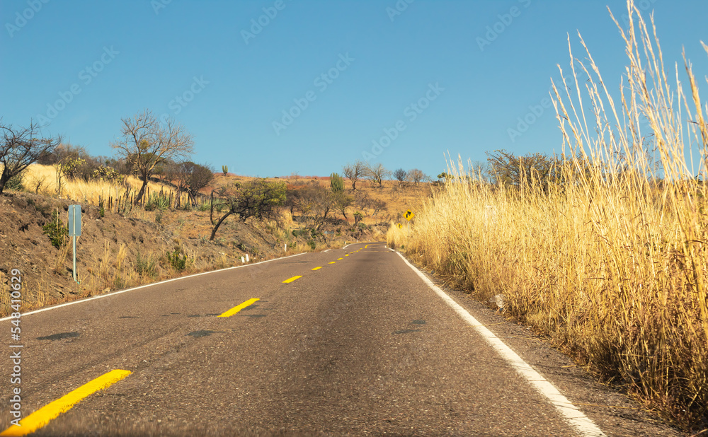 road in the countryside