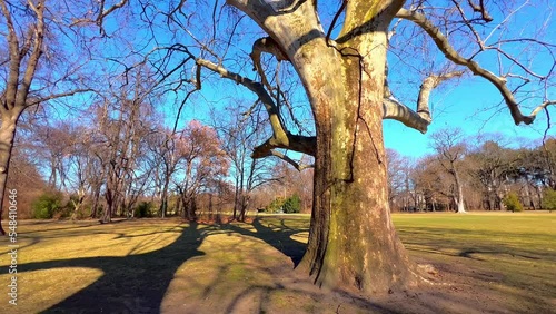 Panorama of Margitsziget Park on Margaret Island, Budapest, Hungary photo