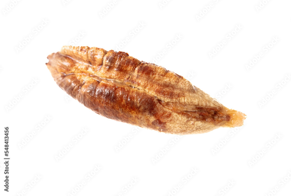 Date pits isolated on white background. Date pits isolated on white background.