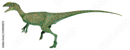 リリエンステルヌス（Liliensternus）は三畳紀後期（2億1000万年前）に現在のドイツに生息していたコエロフィシス上科（Coelophysoidea）の獣脚類恐竜の絶滅属の一つである。中型（体長約5 m）で二足歩行の地上性捕食者であった。ヨーロッパで発見された三畳紀の獣脚類としては既知では最も完全で、最大のものの一つである。化石は幼体、もしくは亜成体であった。