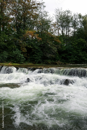 Picturesque view on river with rapids near forest