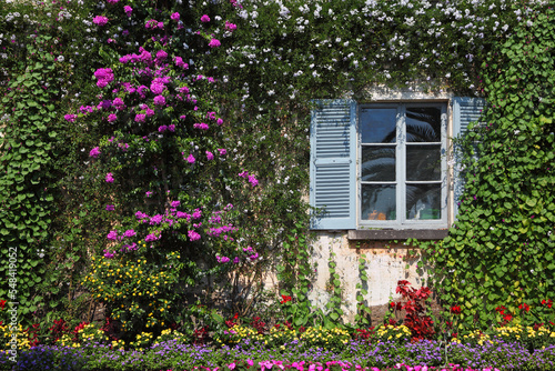 Wall and window, overgrown with flowers